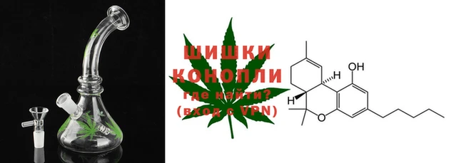 PSILOCYBIN Нефтегорск